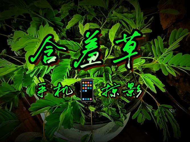 天启影院在线网 - 最新热播剧集免费观看 | 高清无广告观影体验 | 2025热门电影推荐