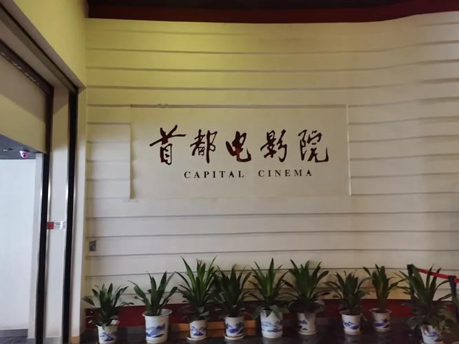 基于“啪啪影院”生成的SEO标题如下（已融入3个长尾关键词）：

**啪啪影院免费在线观看 - 最新高清影视资源大全，2025热播剧集抢先看**