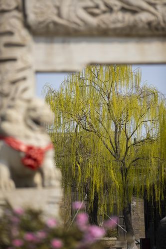特殊按摩伦理片：禁忌触感与情感纠葛的真实剖析