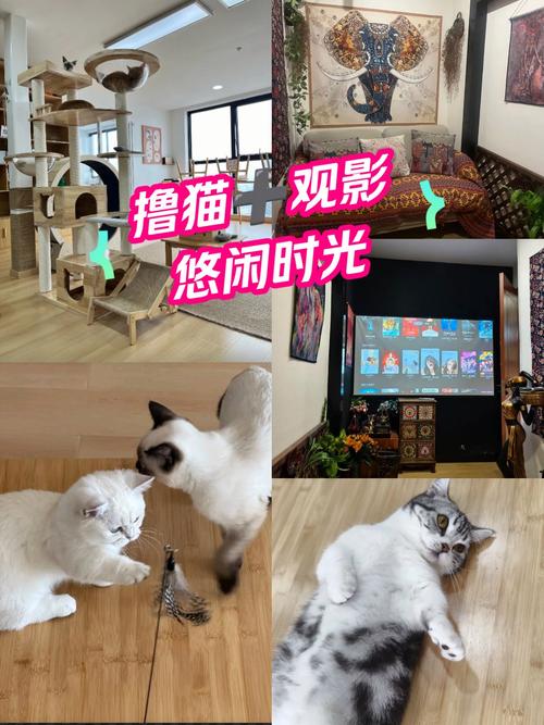 东京精油按摩R级深度体验｜成人向高级私密会所推荐｜日式精油舒缓疲劳全攻略