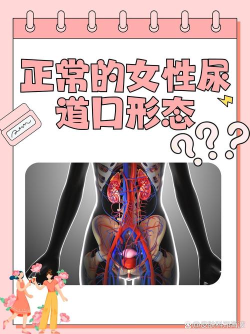 女性下面有淡黄分泌物黏的相关介绍
